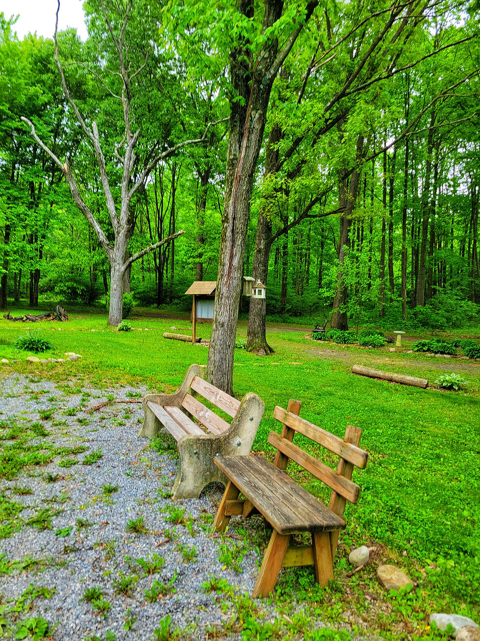 Park