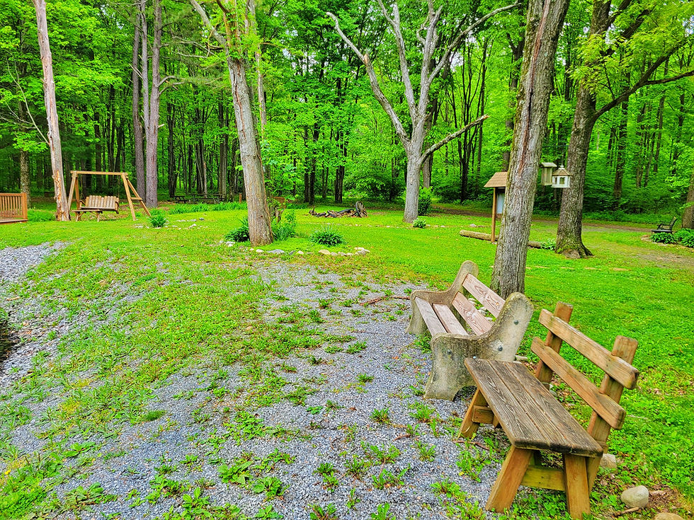 Park