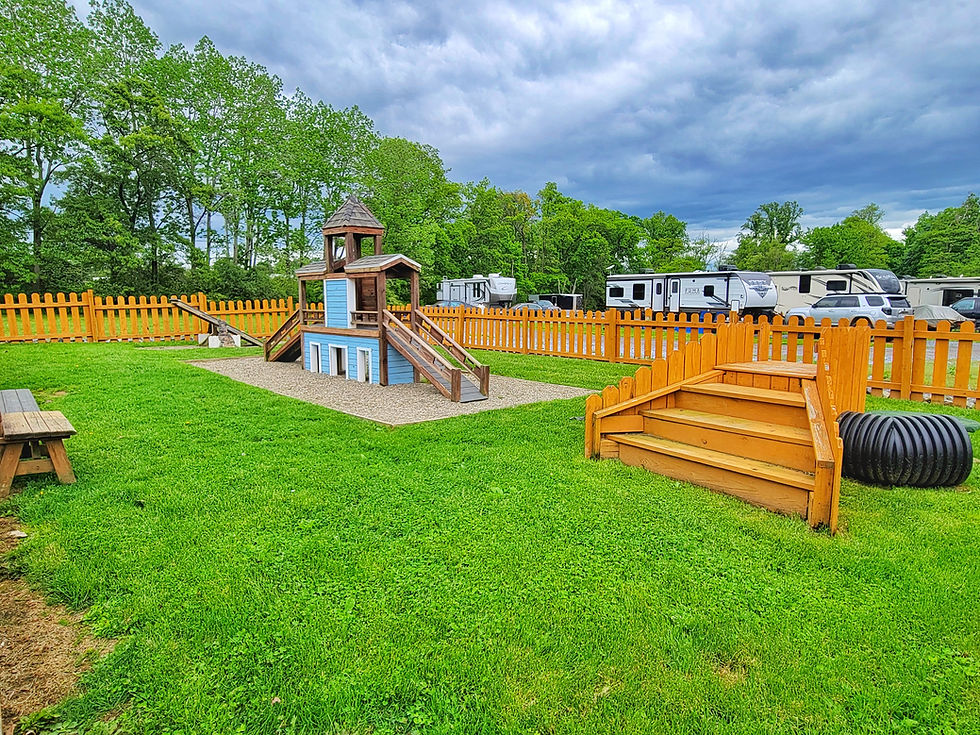 Dog Park