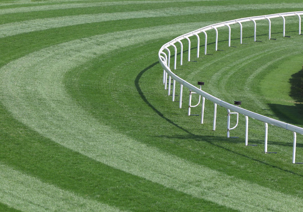 Horse racing track