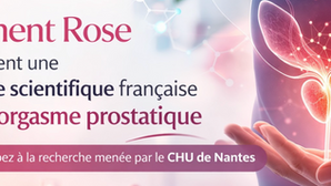 Bannière illustrant l’étude scientifique française soutenue par Piment Rose sur l’orgasme prostatique et le massage prostatique, menée par le CHU de Nantes.