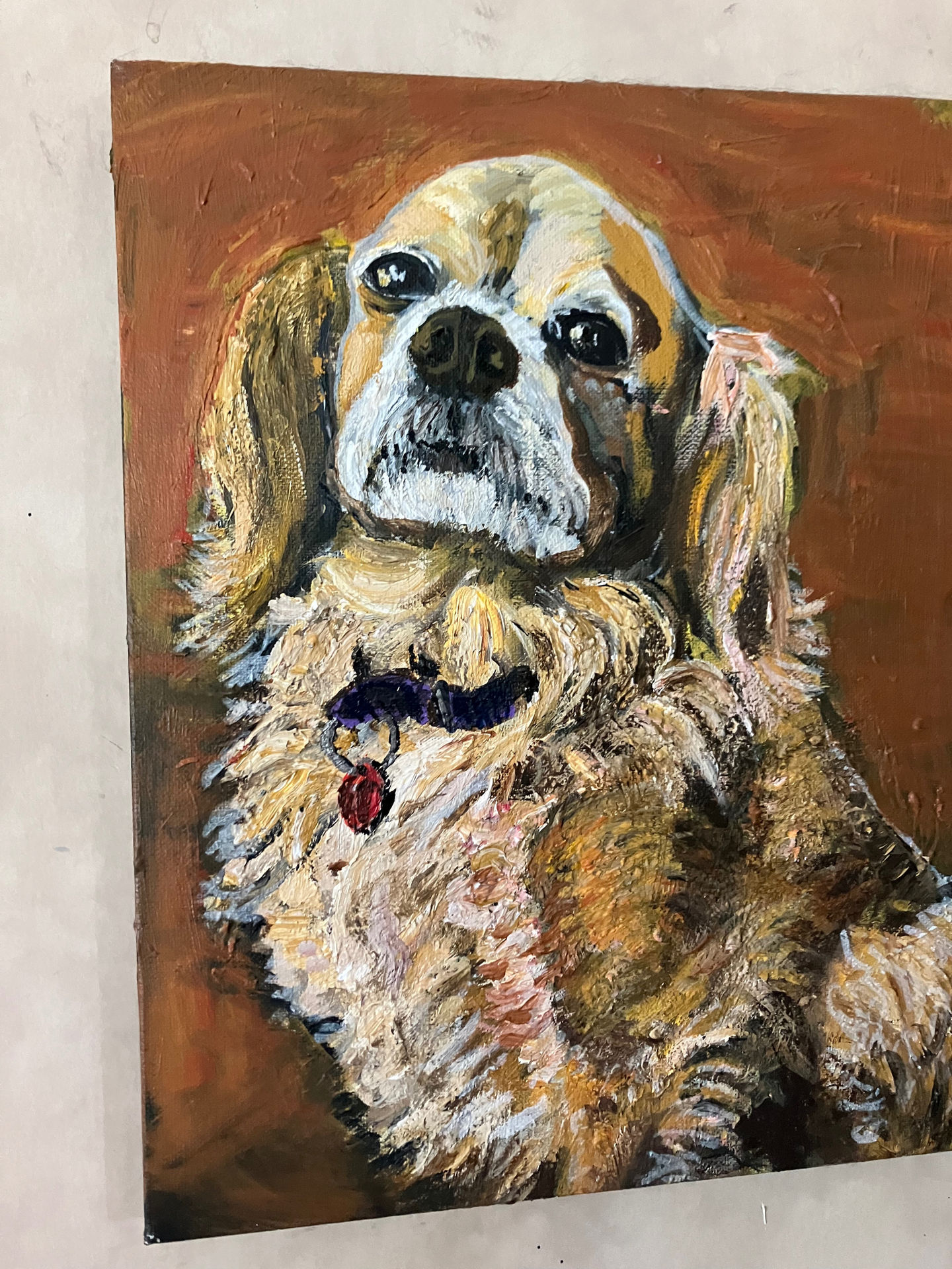 02B0CF3B-4A28-48A7-9D98-ACEA4241631D_L0_001-11_10_2024, 12_15_49 PM.jpg