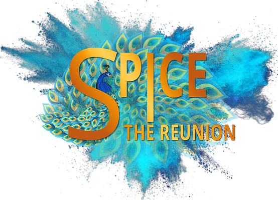 SPiCE-Reunion-logo-powder.png