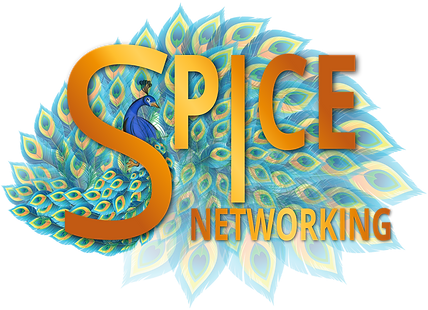 SPiCE-Networking-02.png