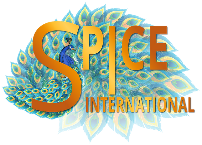 SPiCE-International-logo-04.png