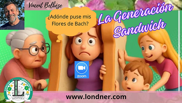 ¿Adónde puse mis Flores de Bach.jpg