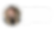 Shelby (1).png