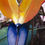Thumbnail: Bird of Paradise Drawing - Erotica