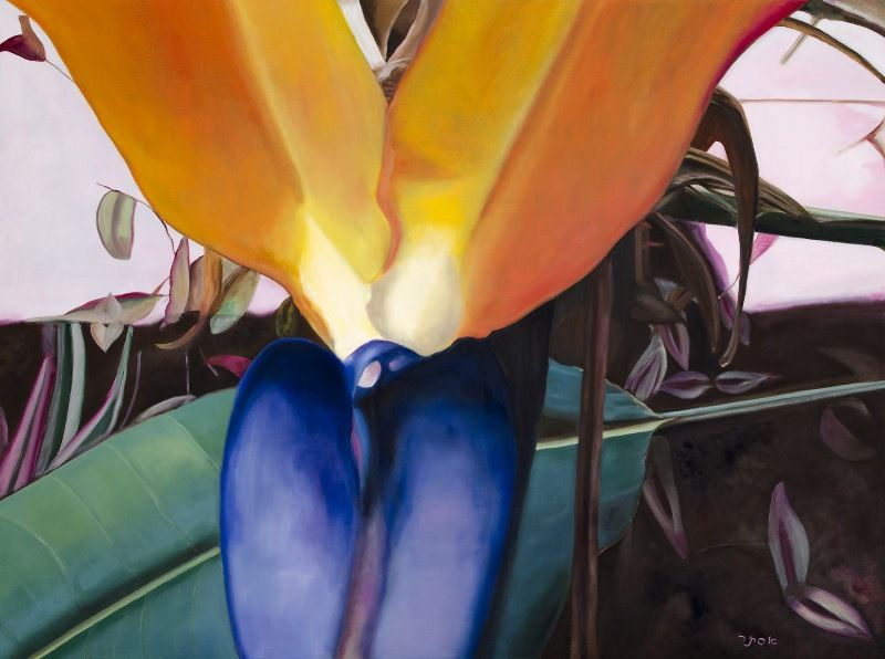 Bird of Paradise Drawing - Erotica