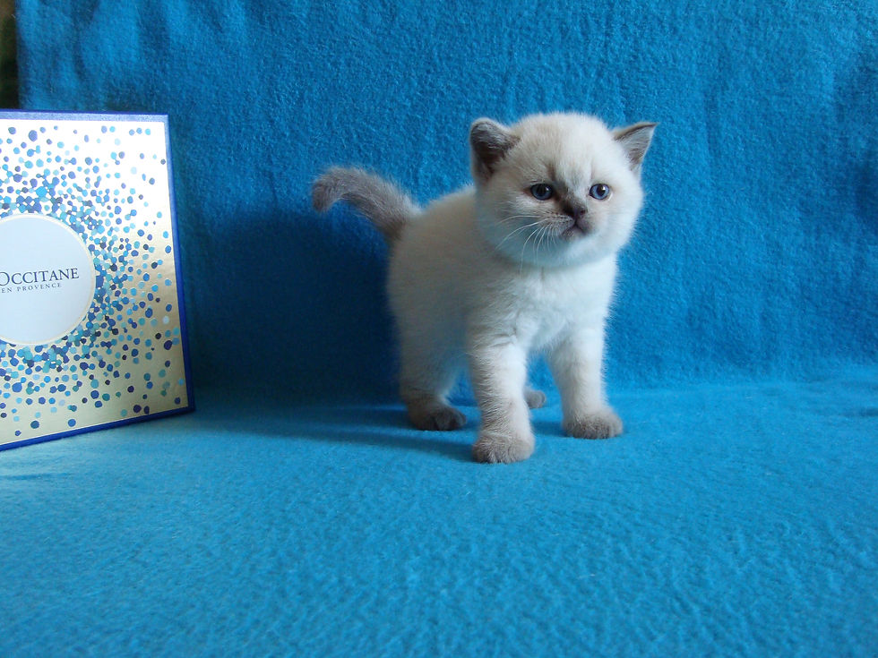 Возраст 1 месяц