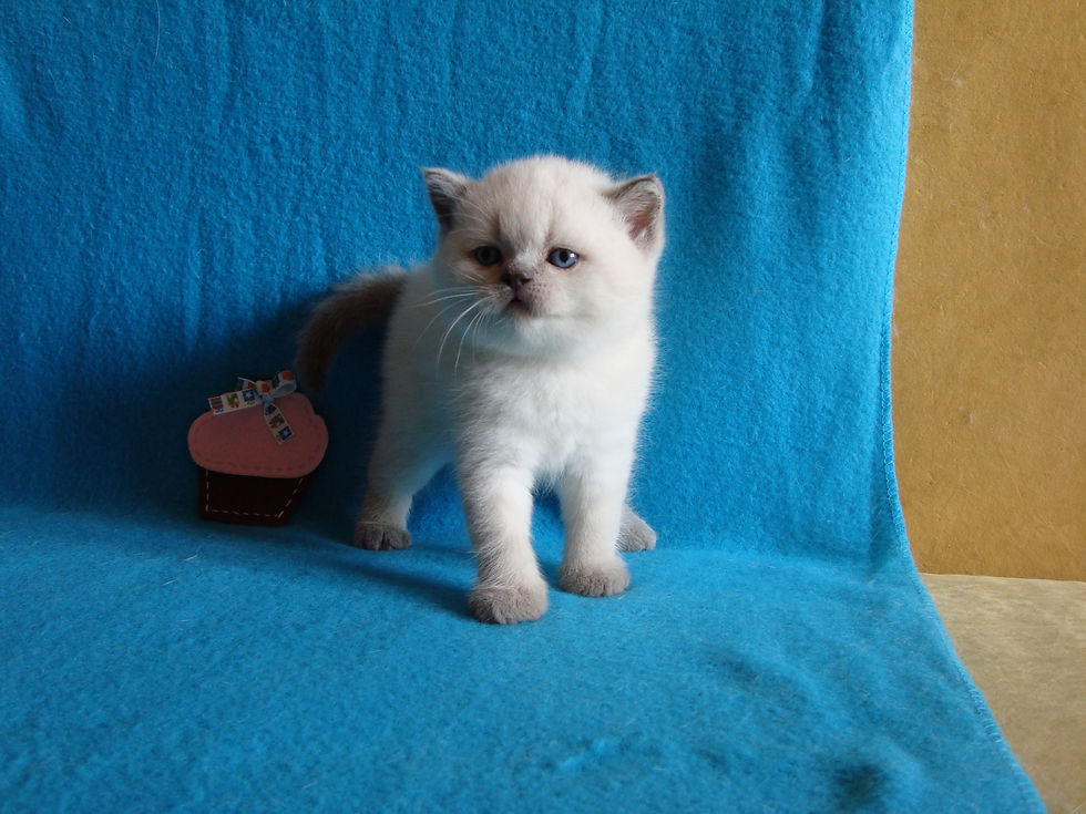 Возраст 1 месяц