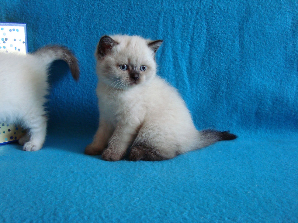 Возраст 1 месяц