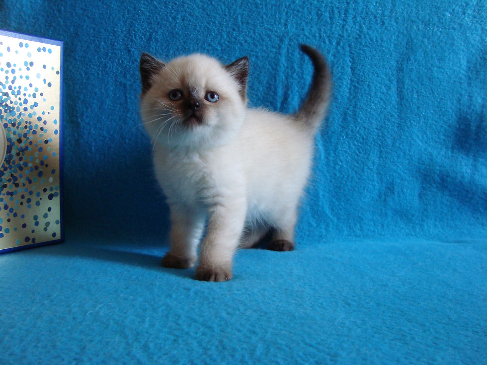 Возраст 1 месяц