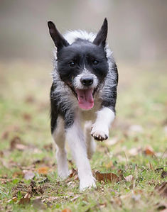 Screenshot 2024-05-16 at 14.40.12.jpg