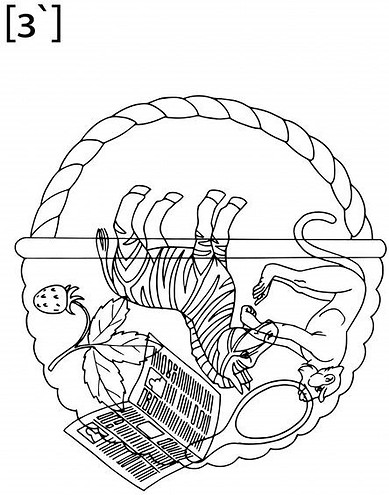 s1200.jpg