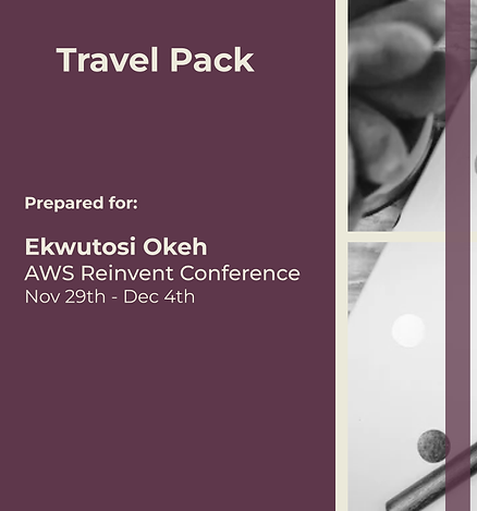 Copy of Travel Pack Example.png