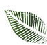 leaves.png