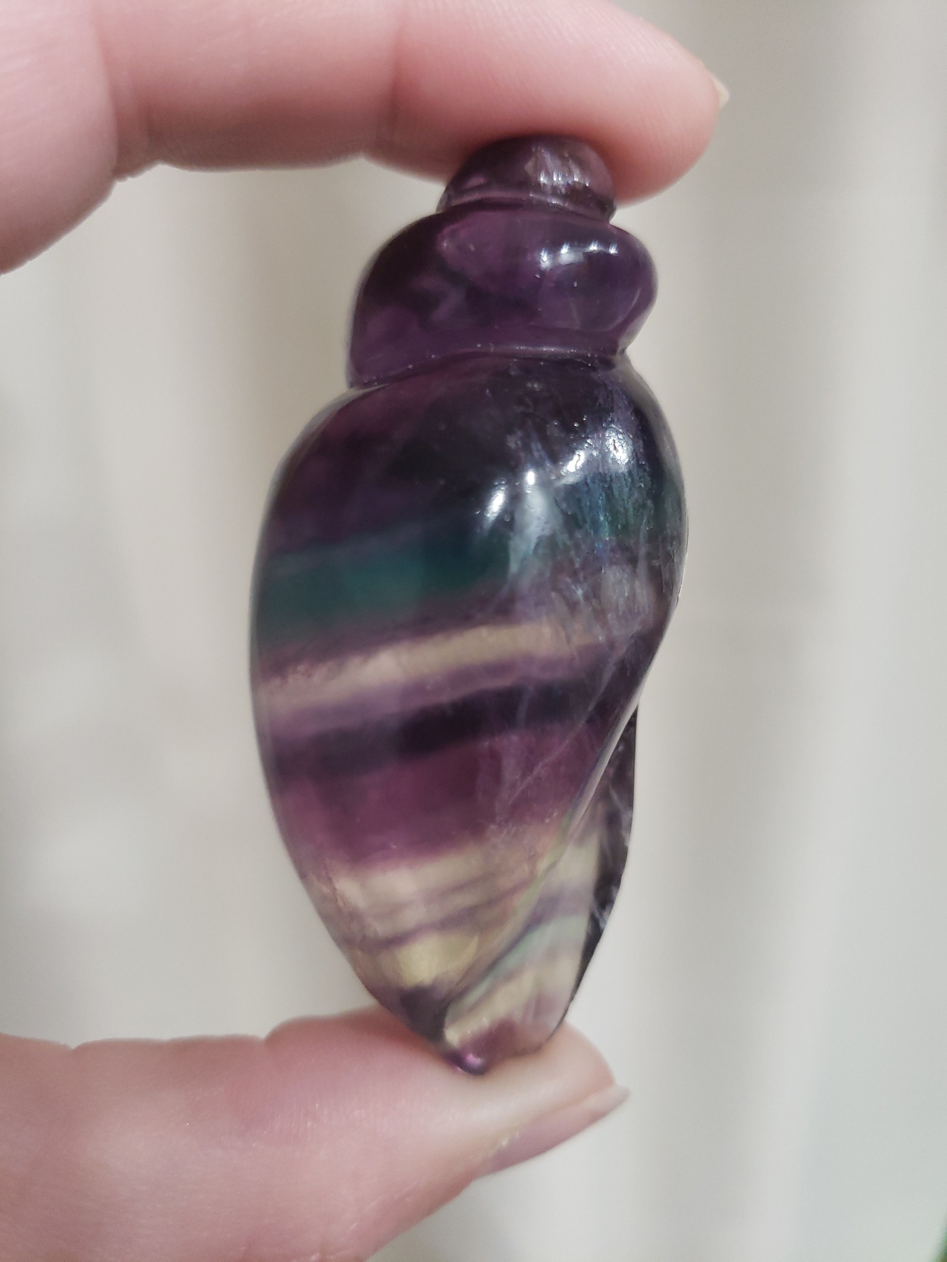 Large Rainbow Fluorite Conch Shell