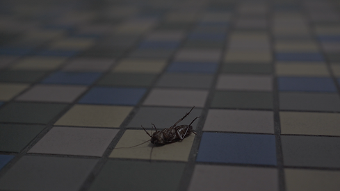 Screenshot (284).png
