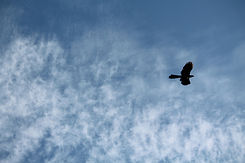 sky-4510712_1920.jpg