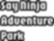 Say Ninja Adventure Park.png