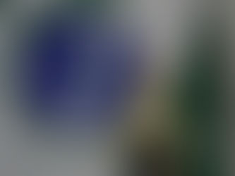 Dia da Padroeira do Paraná é celebrado com sete horários de missa, procissão e show