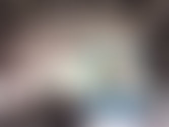 Devotos celebram Nossa Senhora do Rocio em Missa Solene Campal