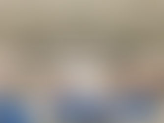 Festa da Primavera reuniu centenas de pessoas no Mega Rocio neste domingo (10)