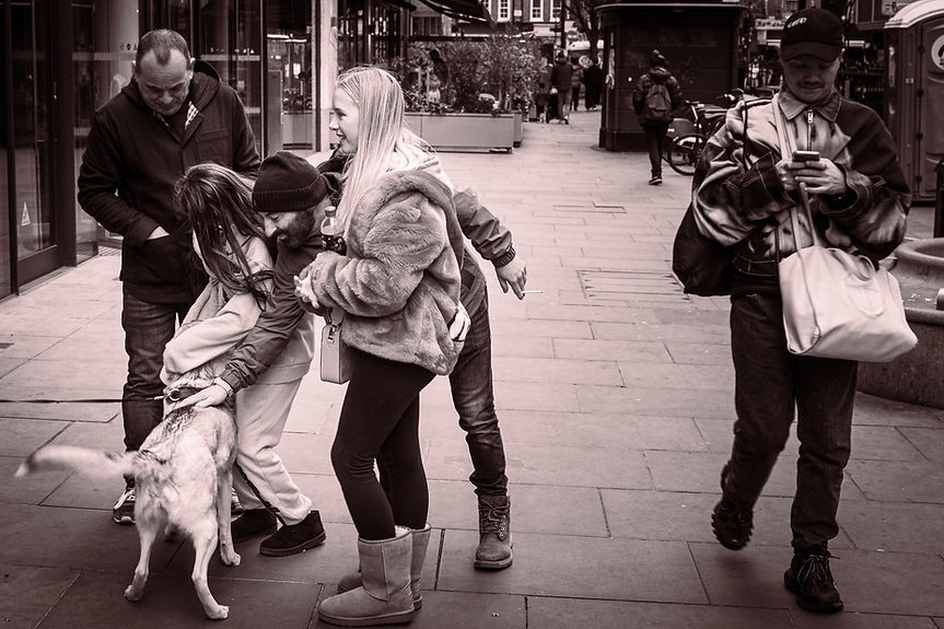 Online Photography Courses for Beginners