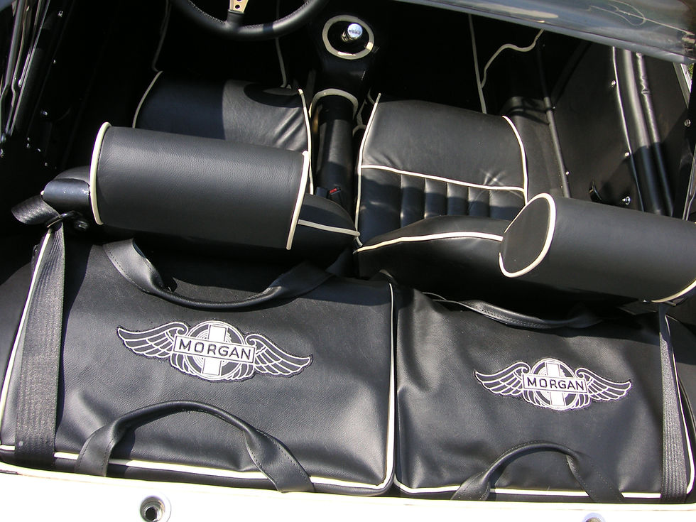 Miniaturbild: Gepäcktaschen wasserfest