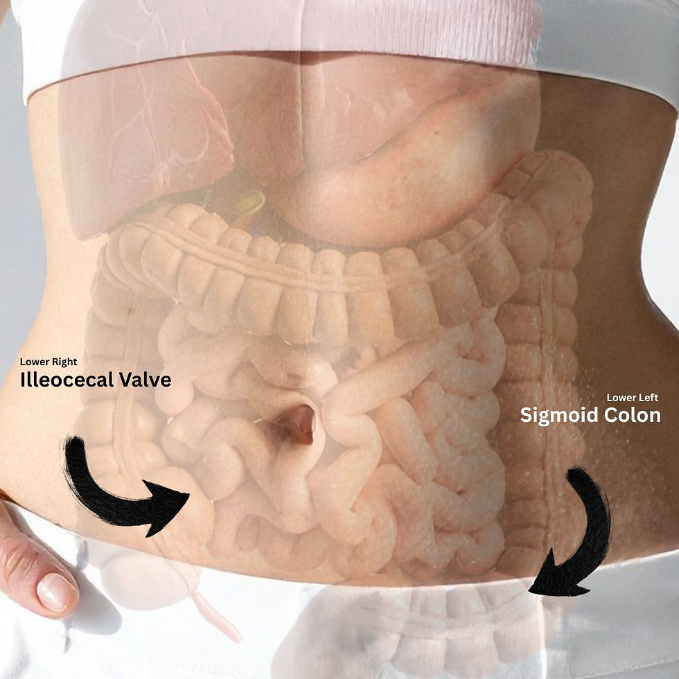 Location of Illeocecal Valve and Sigmoid Colon for Massage. Image not to scale, location may vary person to person.