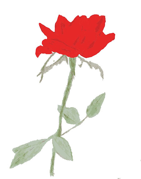 roseVectorWEB.jpg