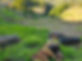 441866822_425004706947035_2025939030384887306_n.jpg