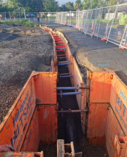 20230317_081103_edited