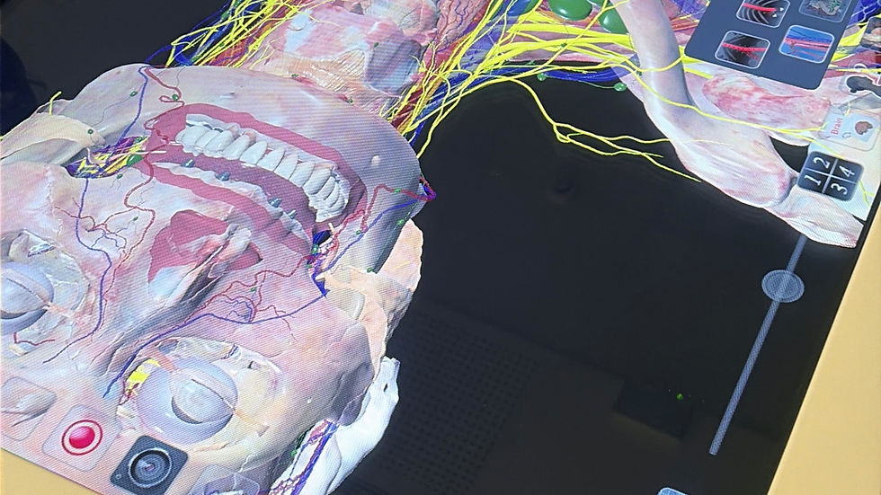 ERASMUS+ BIP projekts