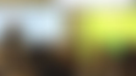 Sekmīgi norisinājusies jau devītā LU PSK konference "VESELĪBA. LABSAJŪTA. PRAKSE."