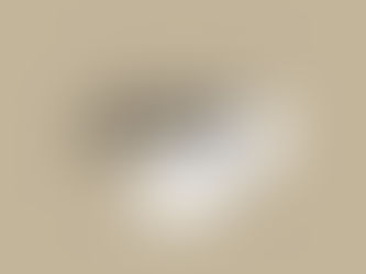 Massage Championship