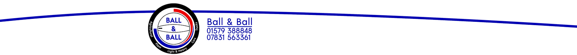 Banner 2025.png