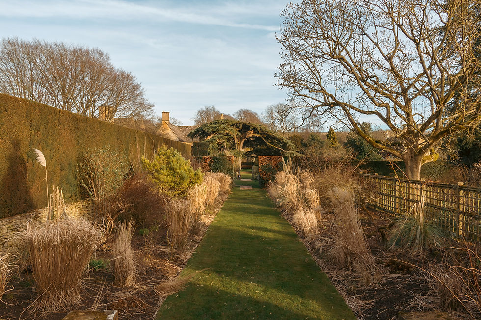 A view of Hidcote garden