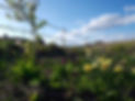 biodiversité