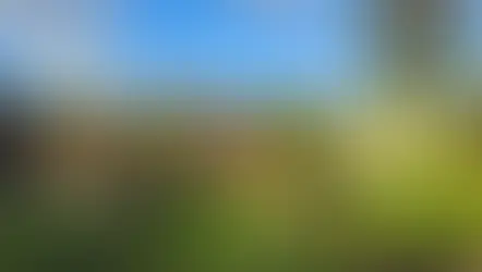 Cultivating Creativity: The Art of Growing in Santa Barbara