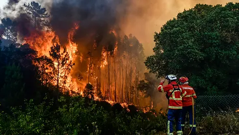 incendio_forestal.jpg.webp