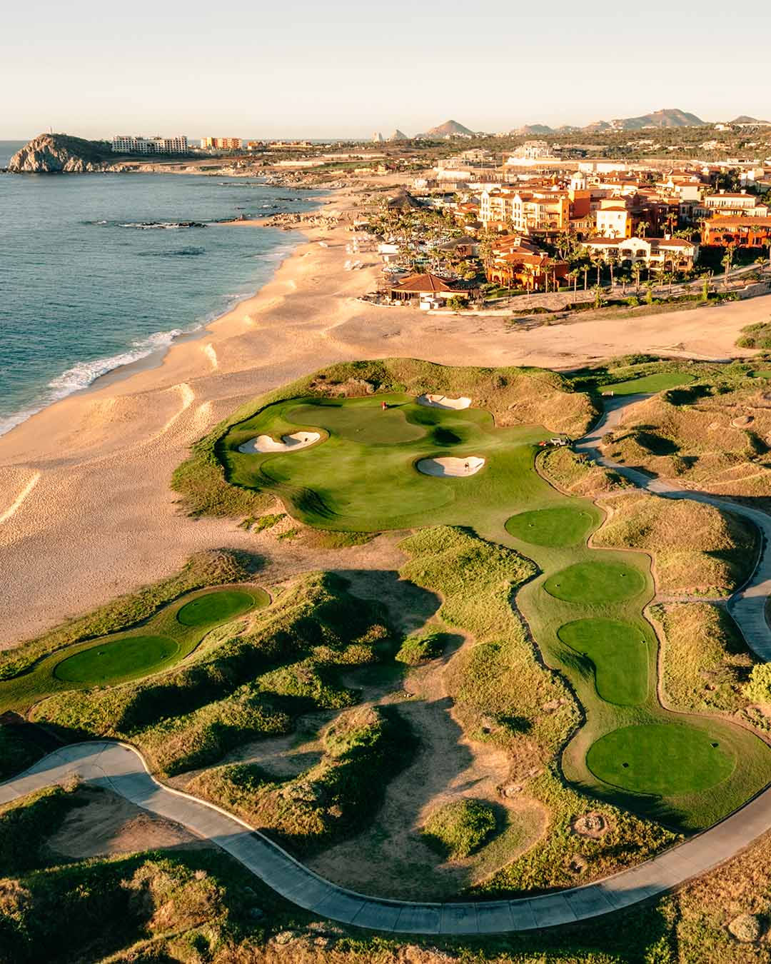 cove club | cabo san lucas