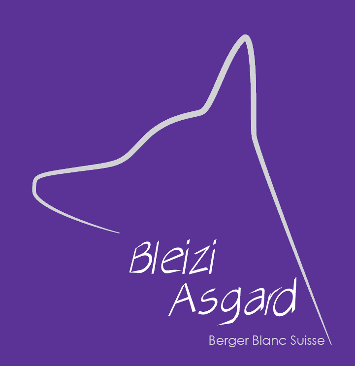 Bleizi Asgard