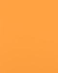 13 Sweet Pumpkin