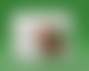 Kwanzaa 2025 thoughts