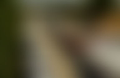 The Growing Influence of Telematics in Shaping the Future of Commercial Auto Insurance in Connecticut by 2025