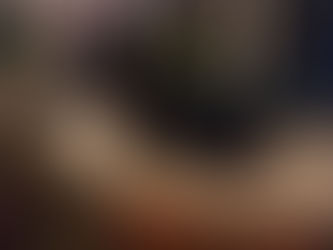 The Importance of Genetic Testing our Dogs