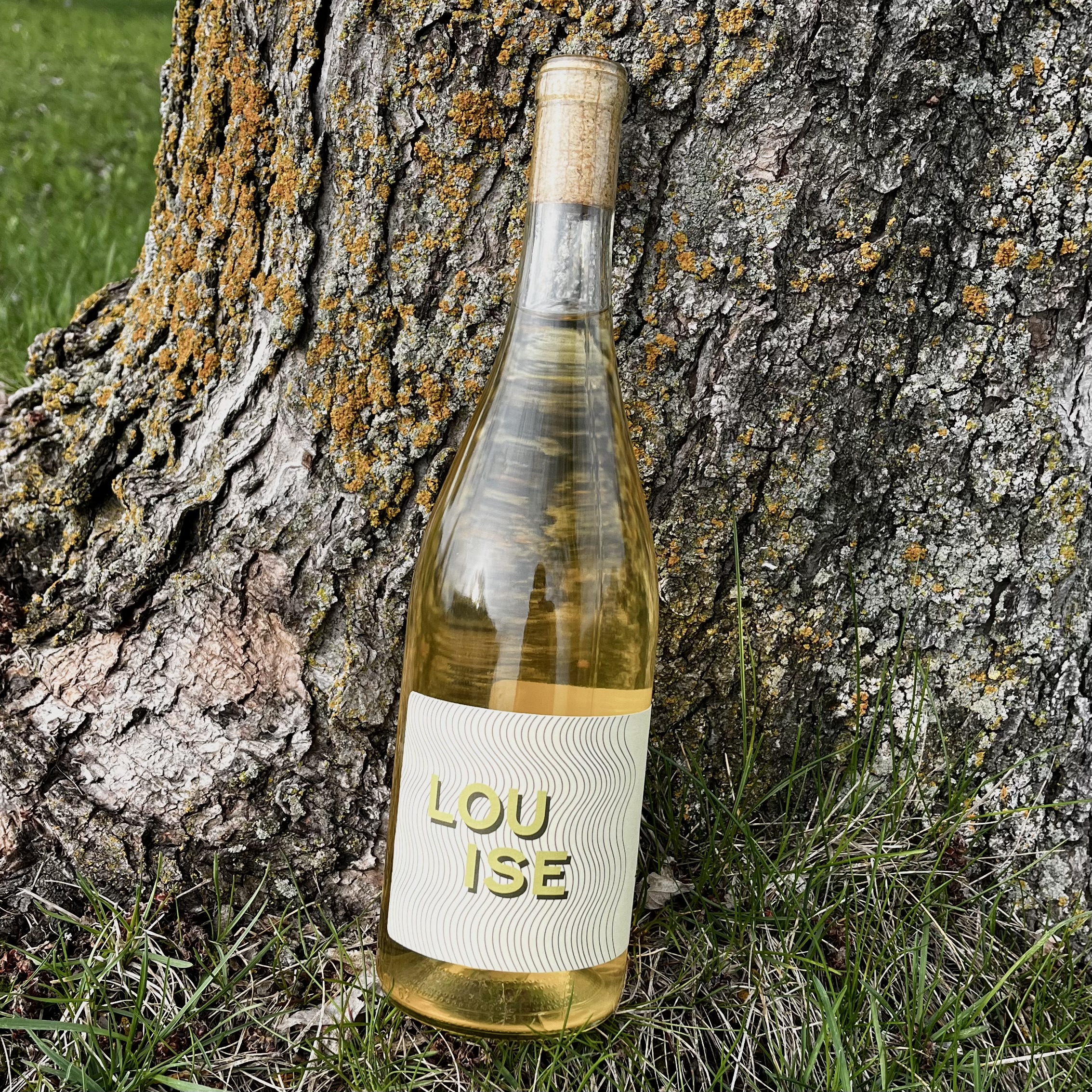 LOUISE 2024 - vin blanc