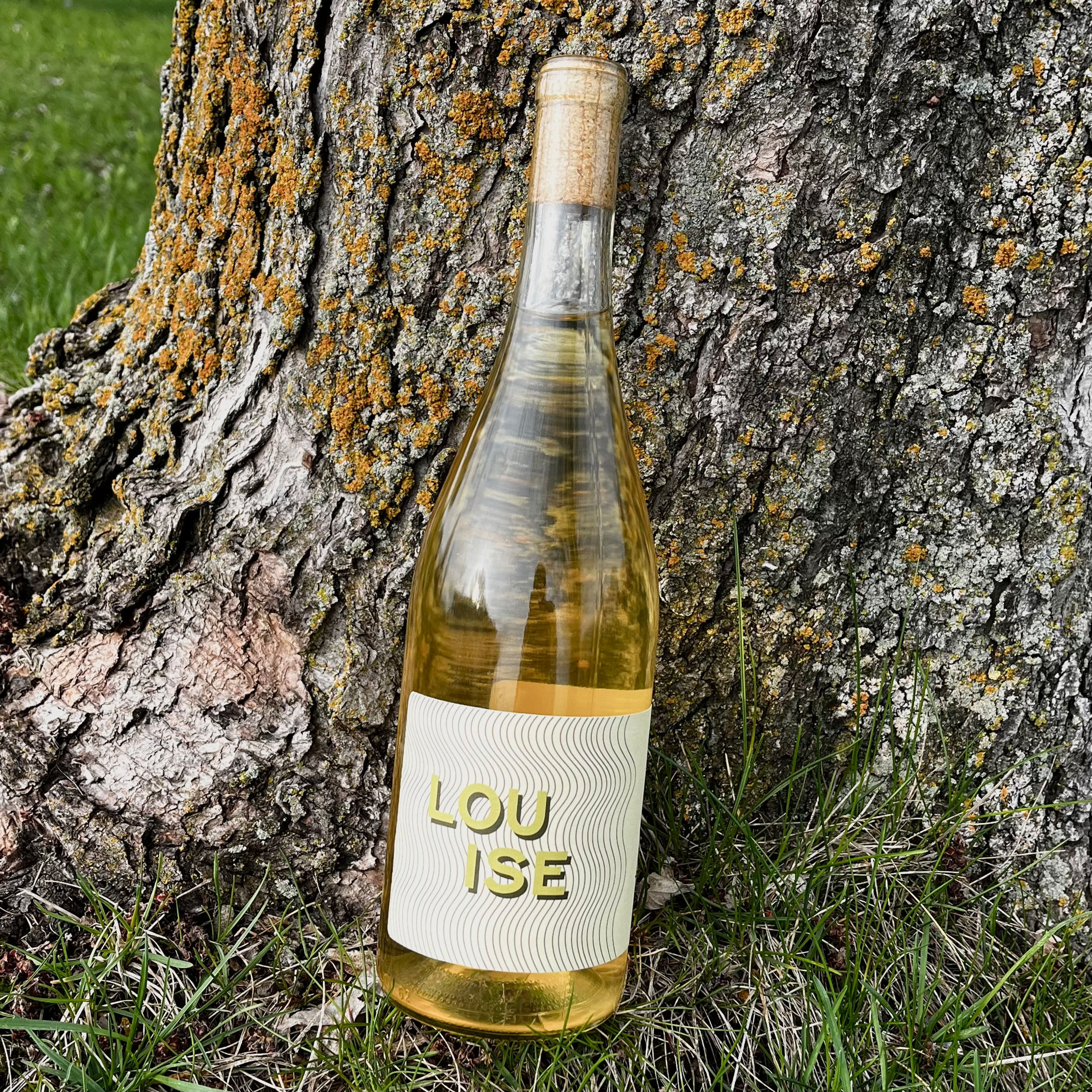 LOUISE 2024 - vin blanc
